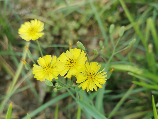 試驗臺的種類有哪些？
